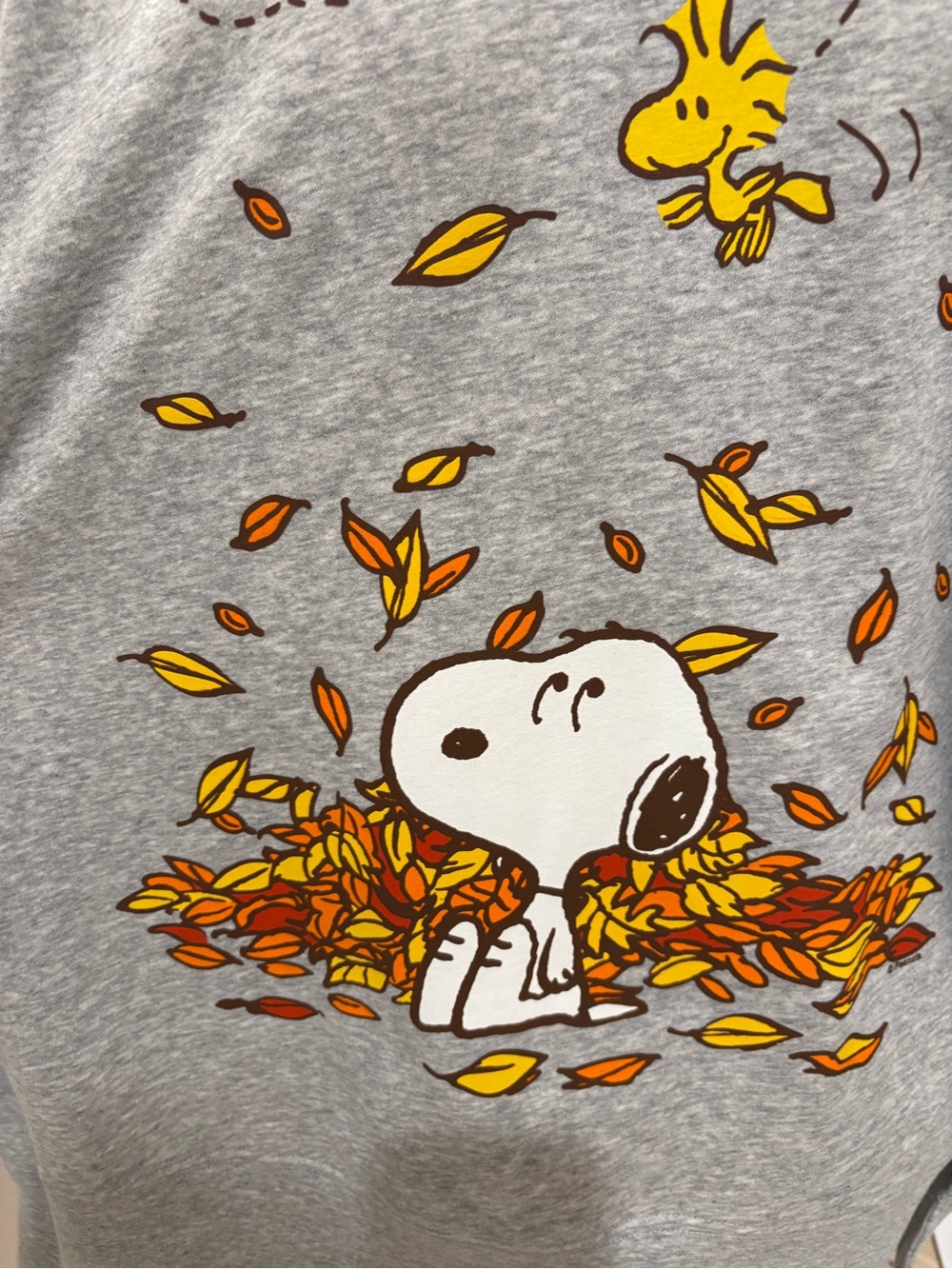 OMG! NWT FALL SWEATSHIRT SNOOPY AND WOODSTOCK! L